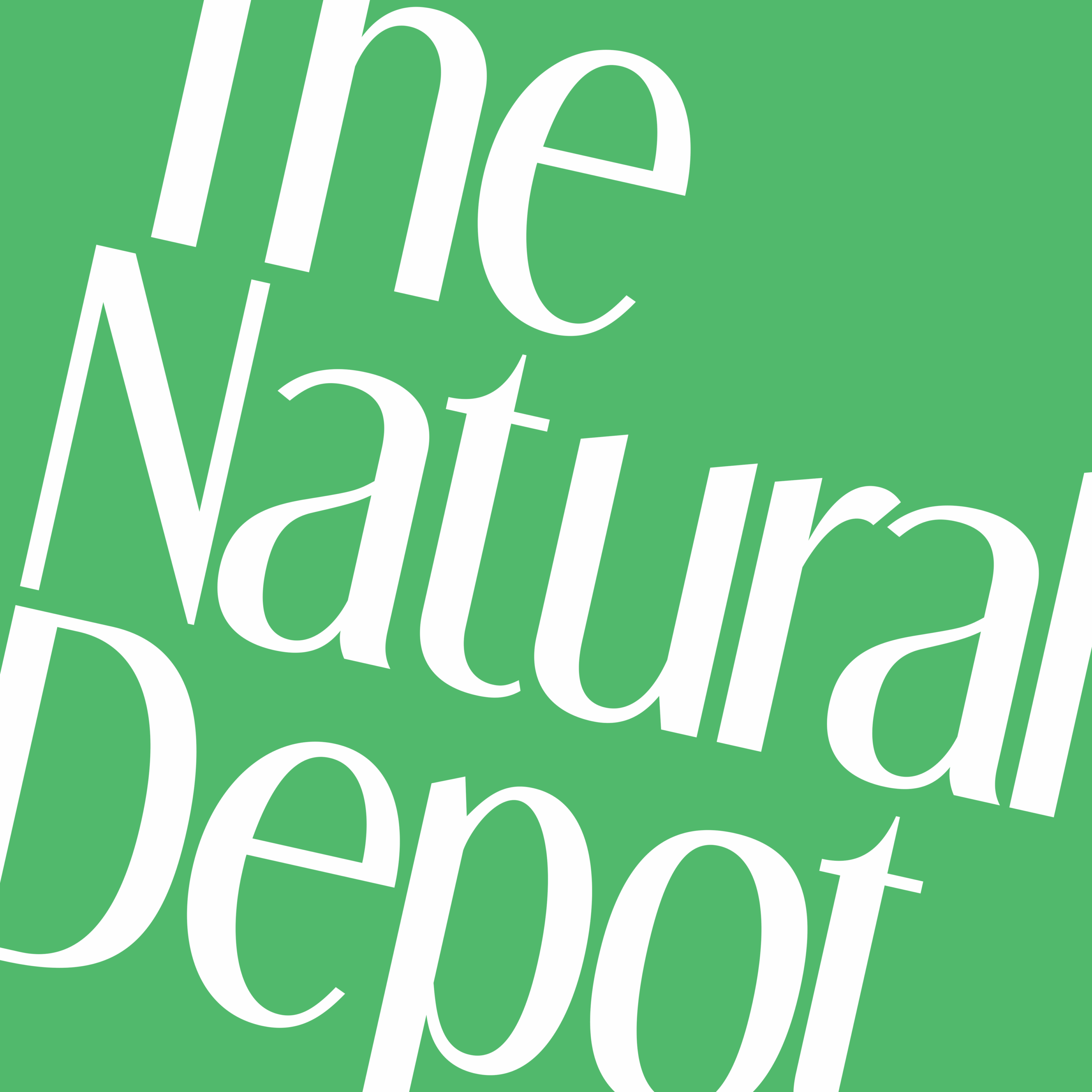 The Natural Depot